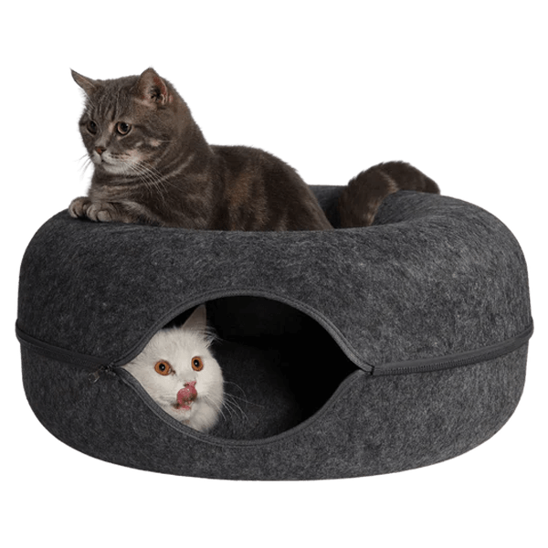 PetNest BD Features-Black 2