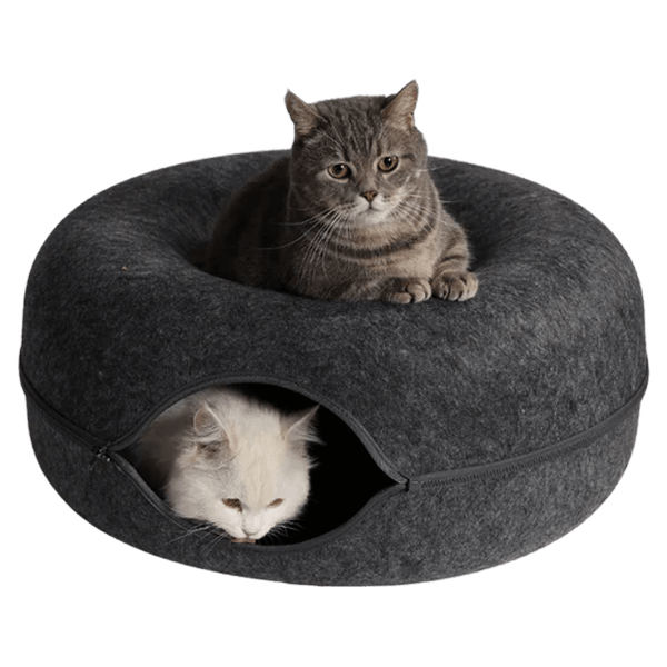 PetNest BD Features-Black