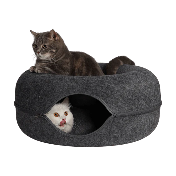 Peekaboo Cat Cave Header Image