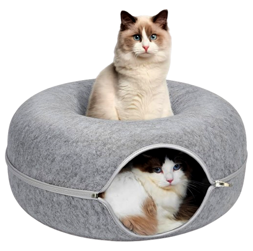 Solution Section Image